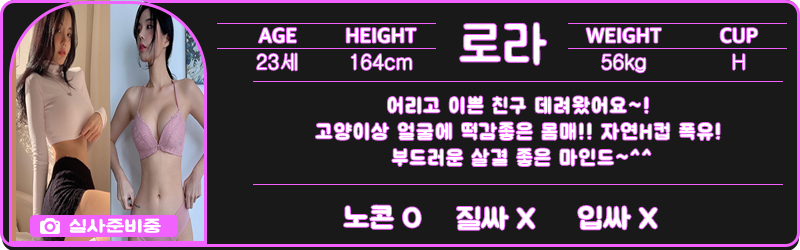 로라.png