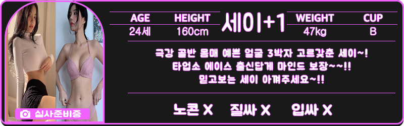 세이1.png